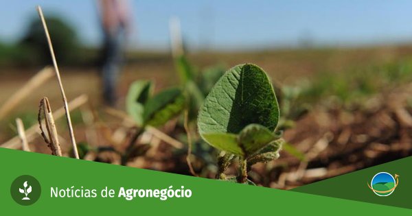 NotiAgri's tweet photo. Para dirigente da @Abimaq, #irrigação é arma poderosa no aumento da produtividade agrícola brasileira https://t.co/4woj7NRlX0 https://t.co/zOiojTXEWP