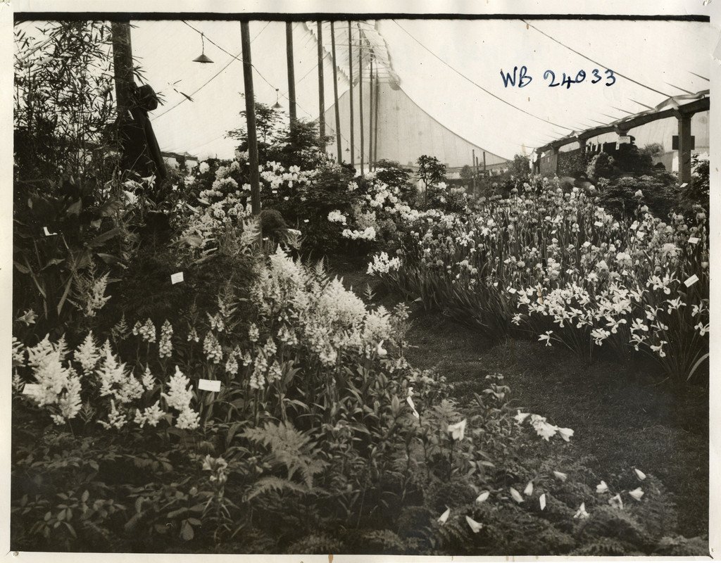 Happy Birthday <a href="/The_RHS/">The RHS</a> flower shows!
#otd in1827 the London Horticultural Society held its first fete at its gardens in Chiswick - the granddaddy of #RHSChelsea and all the other shows