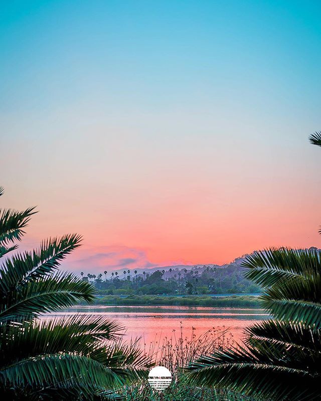Palm Trees &amp; Ocean Breeze 🌴🌺🌊 ift.tt/2GAuhjg