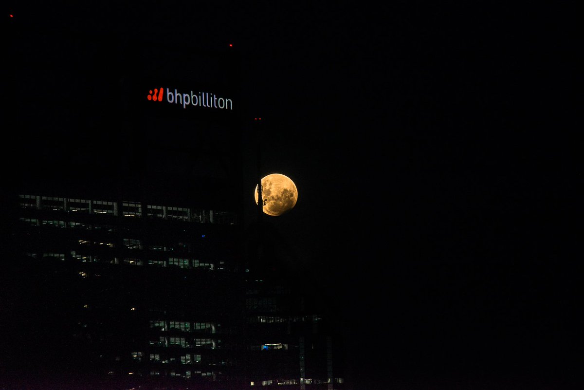 Josh Fernandes tweet media