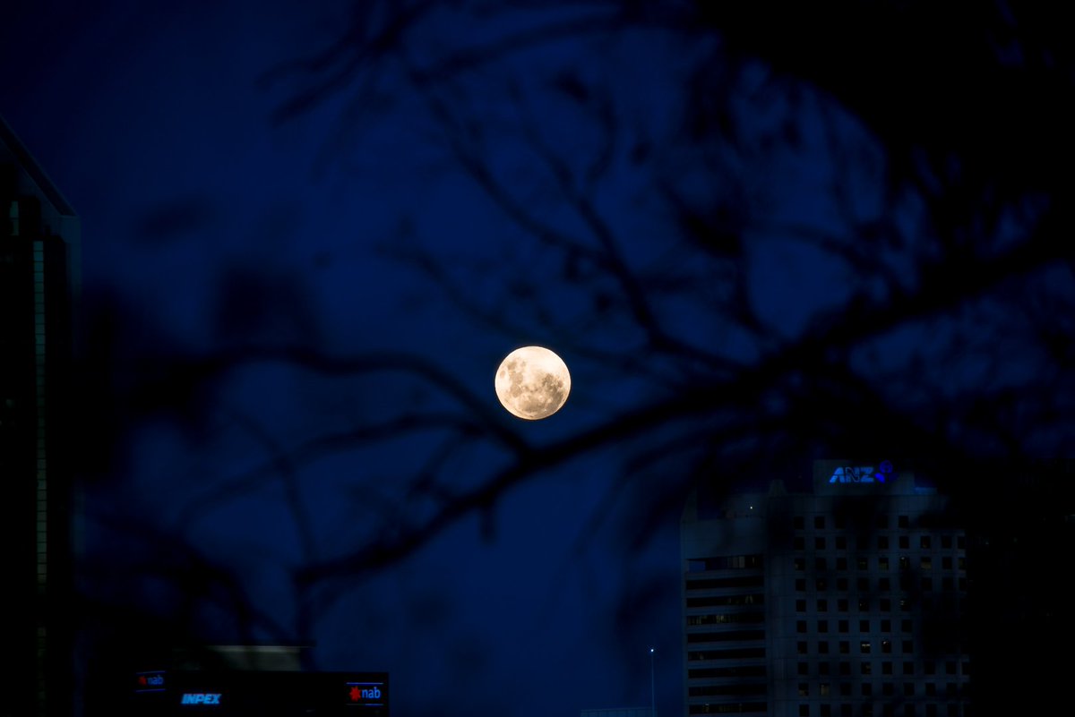 Josh Fernandes tweet media