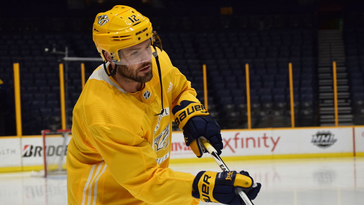 PredsNHL's tweet image. What a sight. #Preds