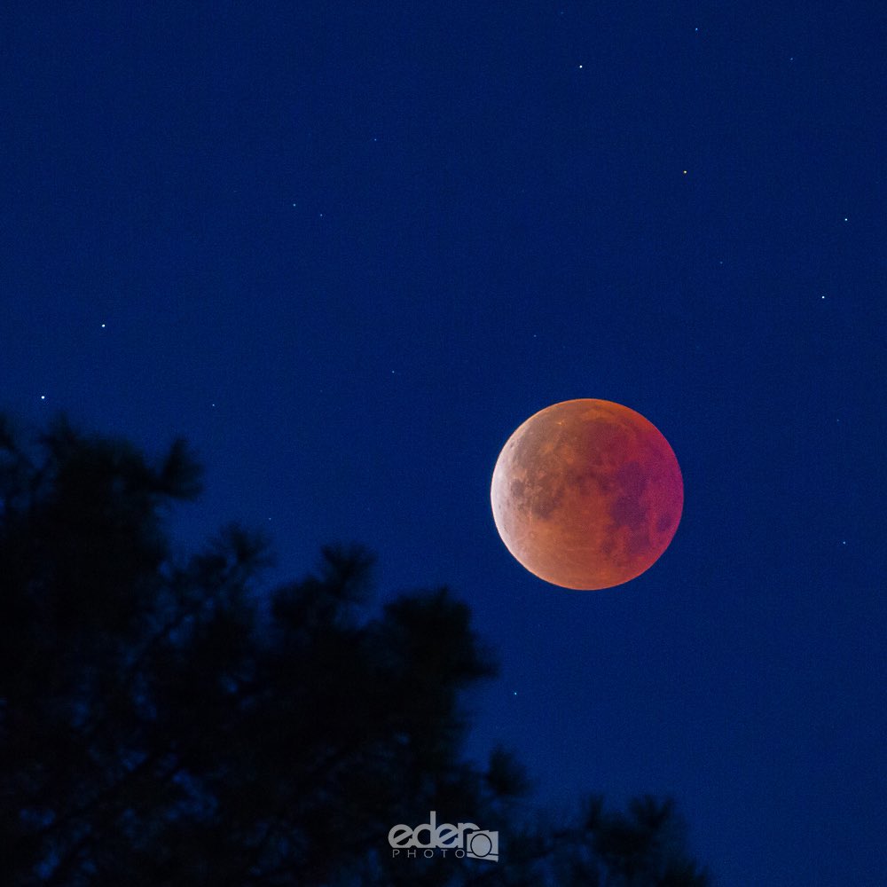 This mornings #superbluebloodmoon viewed from Presidio Park in San Diego. <a href="/KPBSnews/">KPBS News</a> <a href="/fox5sandiego/">FOX 5 San Diego</a> <a href="/nbcsandiego/">NBC 7 San Diego</a> <a href="/KUSINews/">KUSI News</a>
