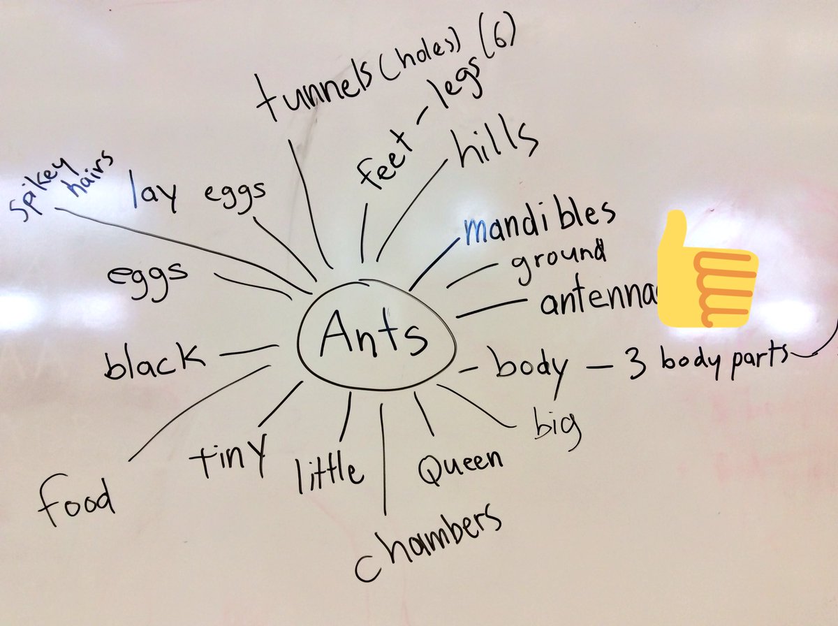 msvaiyee_tdsb's tweet image. First attempt at #semanticmapping in kindergarten @HuntersGlenJPS #collaborativeinquiry Thanks @TDSB_SLP for the vocabulary building workshop!