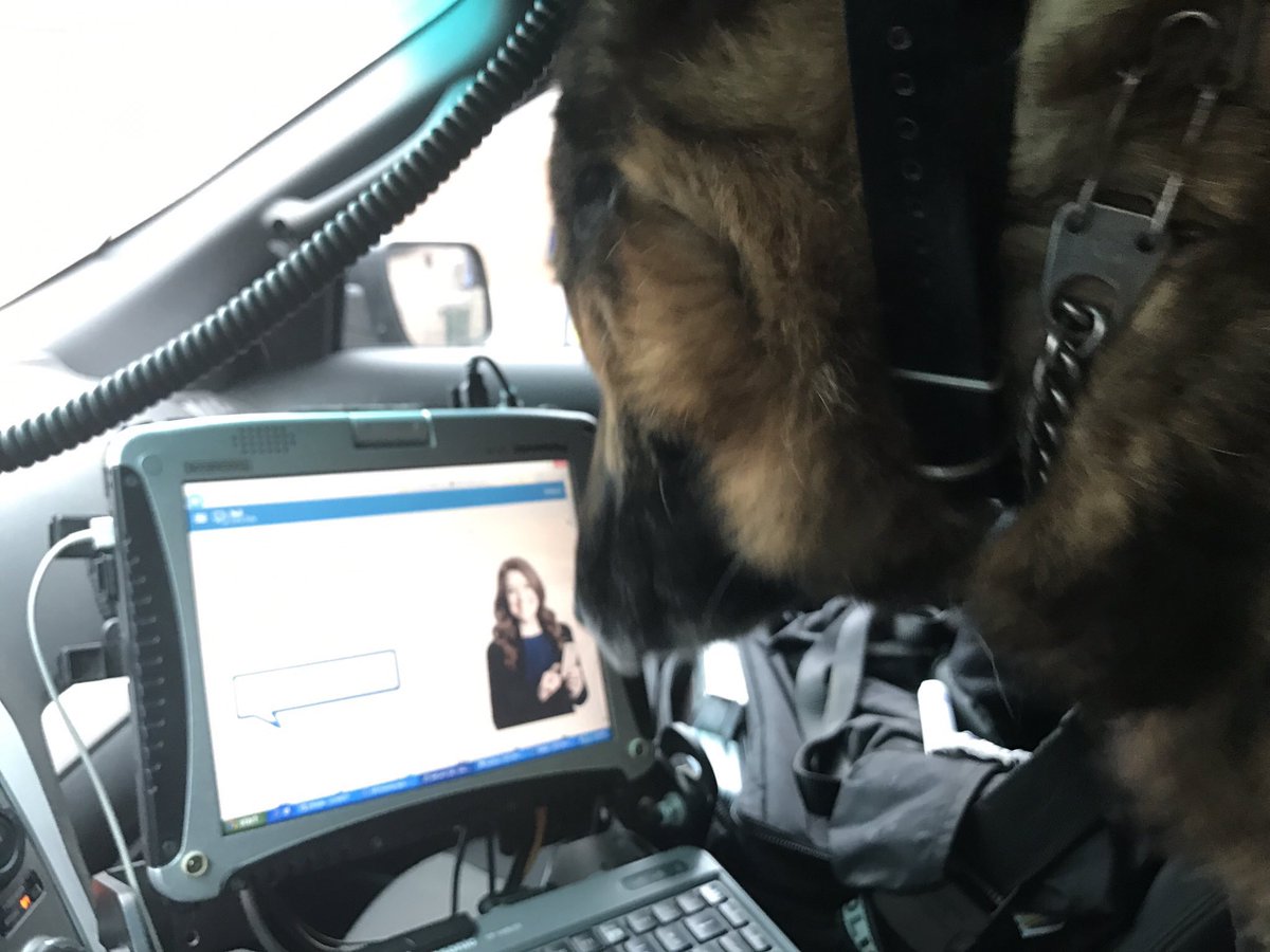 Hamilton Police K-9 tweet media