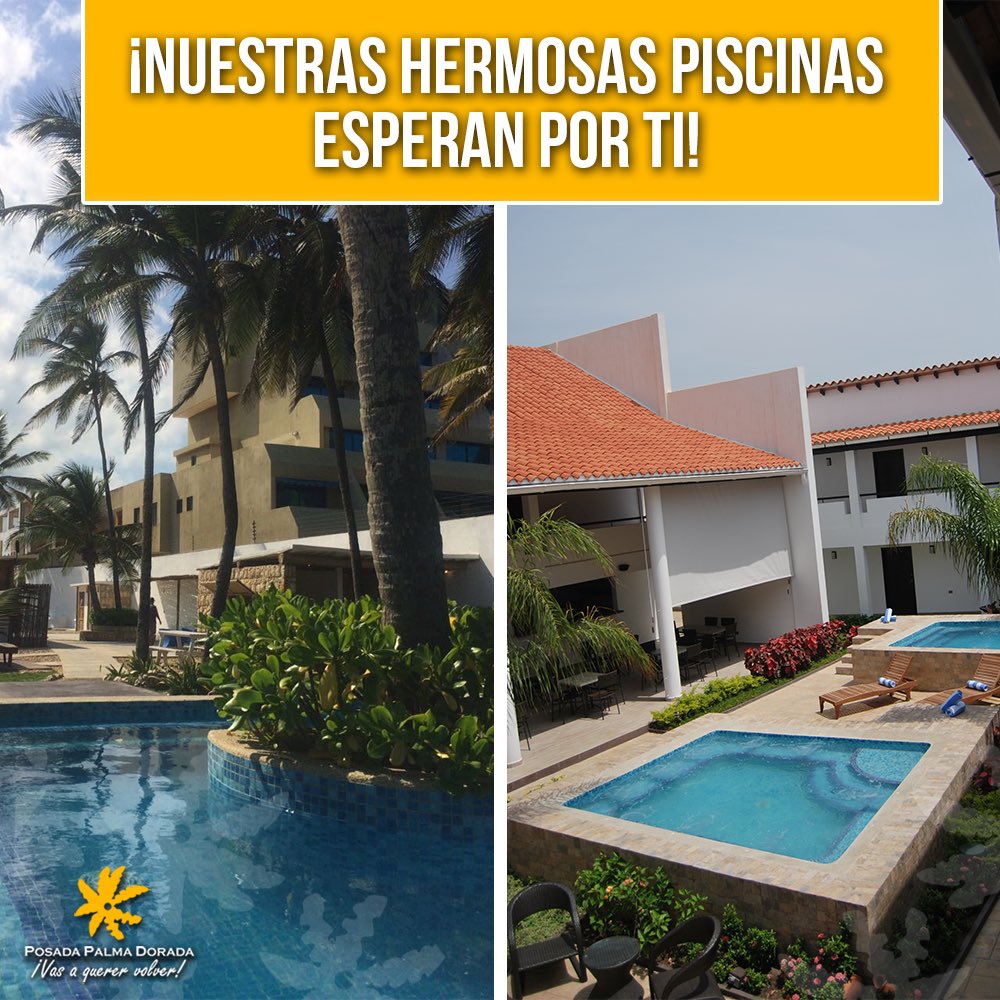 En nuestra hermosa y relajante piscina puedes disfrutar del sol ☀️ y de una deliciosa bebida 🍸 Te esperamos en el kilómetro 60 📍somos Posada Palma Dorada 🏨🏖

#Tucacas #Venezuela #Hospedaje