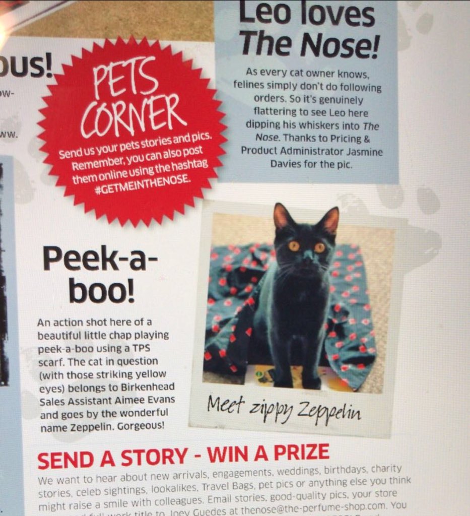 ZepplinArrow's tweet photo. I’ve been put in a magazine from mums work called The Nose! Im very excited, and to celebrate I’m having some ham #TPSpets https://t.co/w336EoqFLu