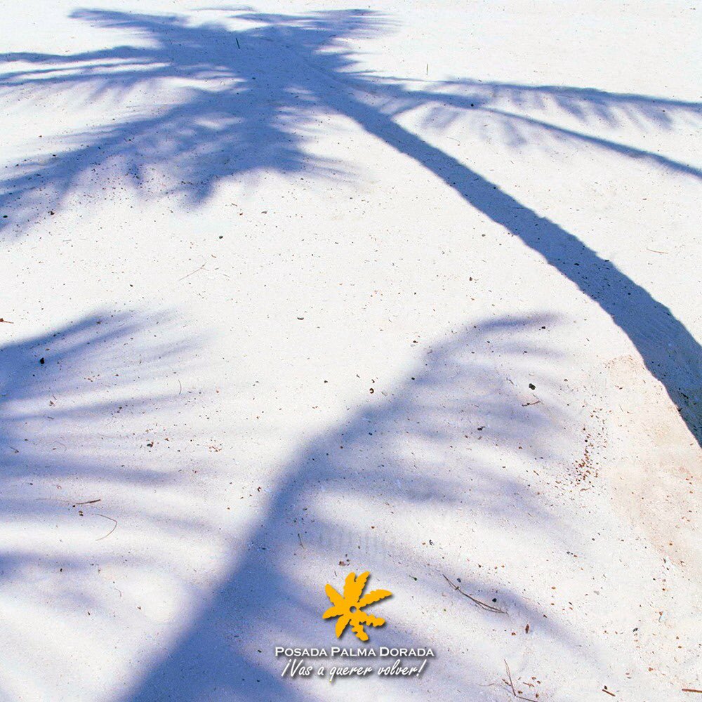 Escribe tus penas sobre arena y tus alegrías sobre rocas. A pesar de las dificultades, siempre hay algo por lo que sonreír 😃 Si quieres pasar unos días diferentes, visítanos en Posada Palma Dorada 🏨🏝

 #Tucacas #Venezuela #Jospedaje
