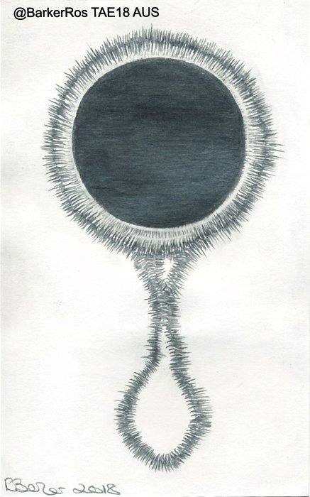 PAEartforacause's tweet photo. Thank you @BarkerRos for 'Black Mirror' which has arrived from the UK in Australia. Thank you for supporting #TAE1 this year and the charity @PegasusRDA_ACT https://t.co/pvvnkKUMgt