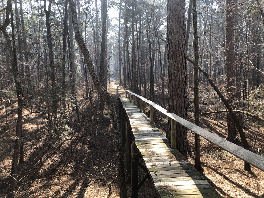 Hiking in Davy Crockett National Forest. facebook.com/backwoodsunive… #hikingadventures #camping