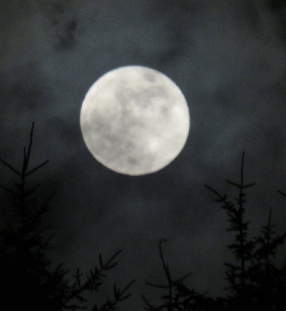 Macinnesplant's tweet photo. #bloodbluemoon #moon #supermoon #Scotland #fortwilliam @BBCHighlands @StormHour @ThePhotoHour https://t.co/Aty7idqlbc