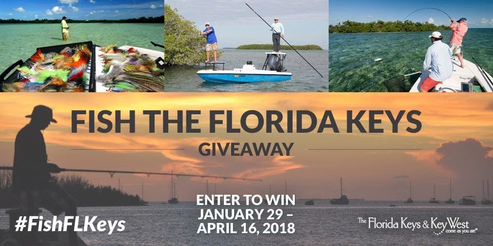 thefloridakeys's tweet image. Enter our #FishFLKeys Giveaway now for a chance to win a fishing trip to Islamorada! 🎣 to enter, go to our Facebook page and click the “Win - #FishFLKeys” tab! facebook.com/floridakeysand…