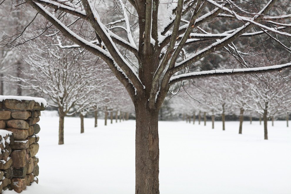 Even when everything is covered in snow, it's still easy to see the beauty in Janice Parker Landscape Architects' stunning designs!
📷 <a href="/landinophoto/">Neil Landino Jr</a>