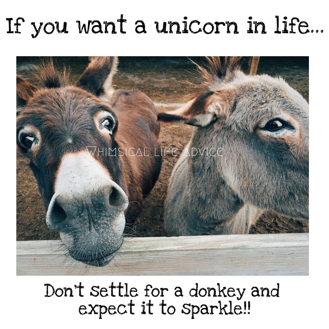 NSupermum's tweet photo. Just this 😂

Sound advice if you ask me 🦄 https://t.co/BytT7VsWrc