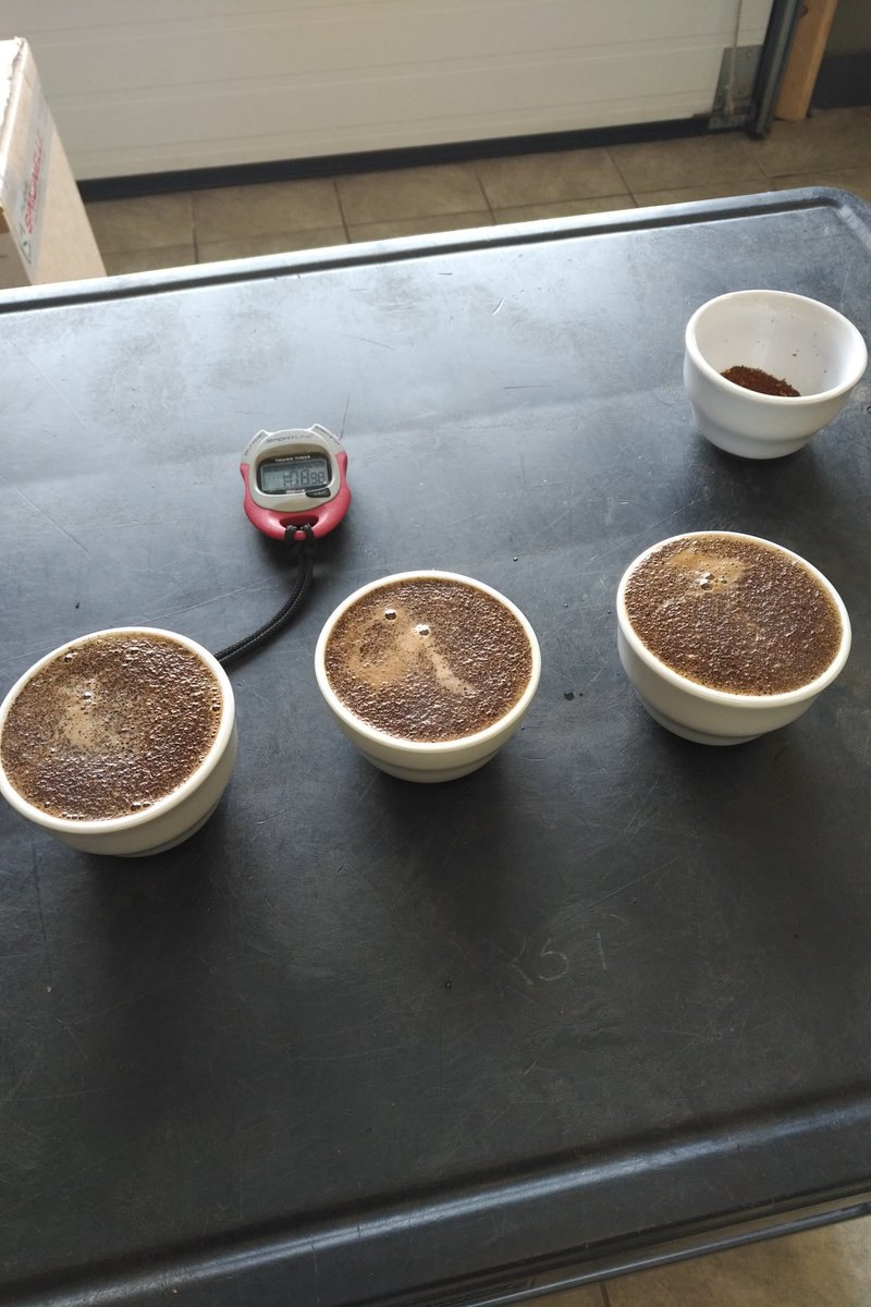 BadenCoffee's tweet photo. Cupping Bali Vintage. Coffee of the month for February https://t.co/xva7WHPw2e