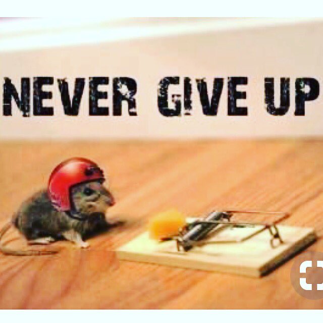 KateRLyle's tweet image. #nevergiveup #specialneedsfamily #specialneedskids #asd #AutismAwareness #SPD #sensoryprocessingdisorder #iep #504 #fight