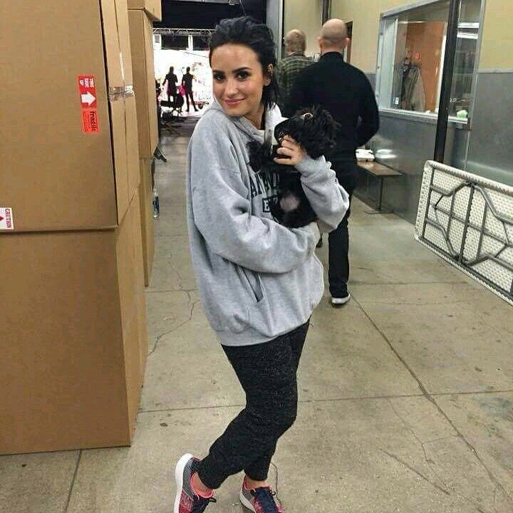 ddldeniz's tweet photo. why kimse aktif değil #CutestPet #Batman #iHeartAwards https://t.co/lwGlUfkjgk