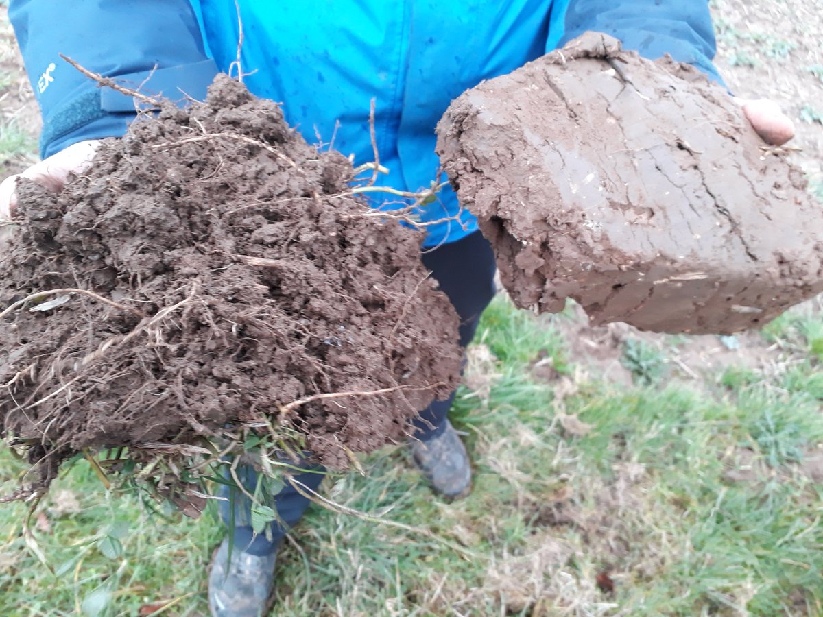Looking at impact of 3 year ley on soil structure <a href="/WRSusAg/">White Rose Sus. Ag.</a> <a href="/icasp/">icasp</a> with Jonathan Leake
