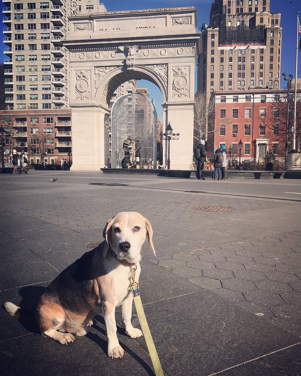 Crisp sunny walks in the city!