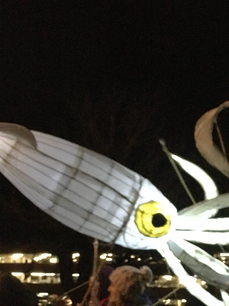 Trurocol's tweet photo. More than *700* lanterns are passing through #Truro right NOW. Where are you watching?@CornwallLive @piratefm @VisitCornwall @TruroBID @TruroCC @VisitCornwall #yourCOL #cityoflights #community https://t.co/VOZWAsjzik