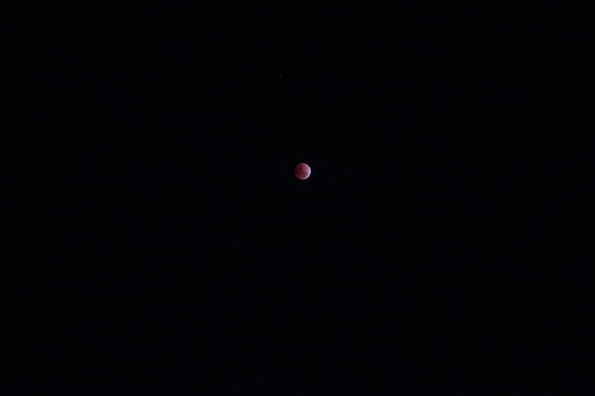 kaye_cal's tweet photo. Ah kaya pala sa shots ko yung iba may parang blue kase Super Blue Blood Moon pala... 😂 Ano ba yan https://t.co/sNBWTgQWOp