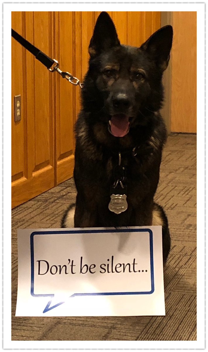 Hamilton Police K-9 tweet media