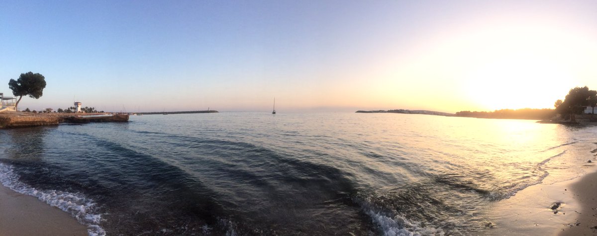 StephenRocheCycling tweet media