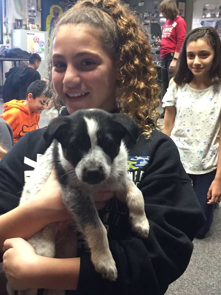 How do we make school fun?  We bring in puppies! 💕🐶 <a href="/hillsdalepride/">Hillsdale Middle</a> <a href="/CajonValleyUSD/">CajonValleyUSD</a> <a href="/edukatn/">Mrs. Knierim</a>