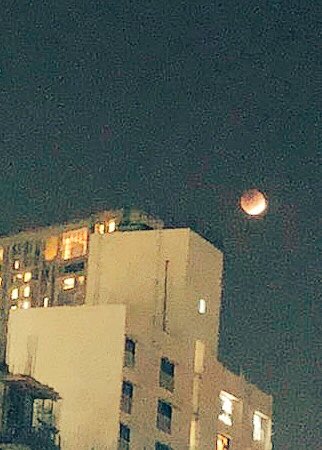 nishjamvwal's tweet photo. My moments in the sky tonight! Because tonight’s the night : Please stop all functions including sleep and look out it’s a lifetime experience ! #NishaJamVwal #SuperBlueBloodMoon india #bloodbluemoon #BloodMoon india https://t.co/SOFF2feQId