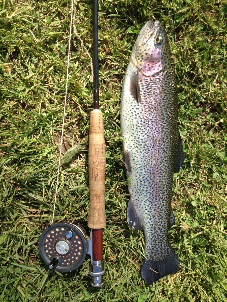 schweba's tweet image. Let's catch some fish with the R&amp;amp;B Trout group. Catch &amp;amp; Release ends soon, additional lessons for casting an tying available for R&amp;amp;Ber's in March. #getsocial @RossBaruzzini #bigtrout #schweba.