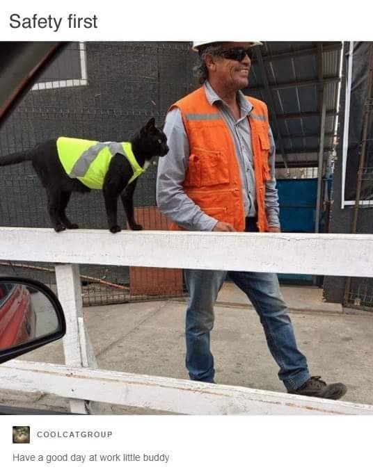 WholesomeMemes tweet media