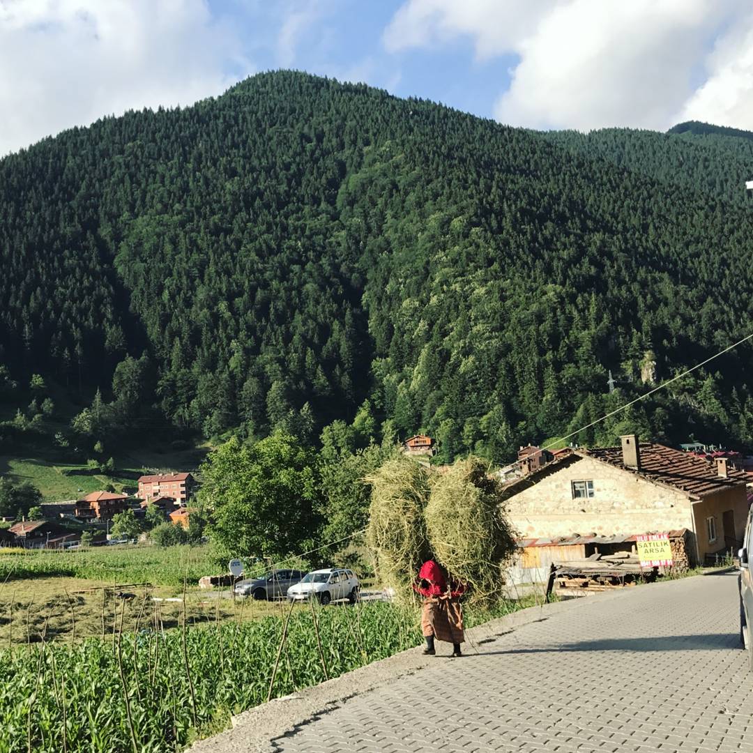 tariqdababneh's tweet photo. The old life ... the good life - #trabzon #Turkey #travel #explore #learn #live #solotraveler #village #villagelife #passion #love #positive #bepositive #happy #throwback #viewpoint #positivevibes #summer #fun #relax #world #instalove #instagood #instadaily #prayforbetterworld🌍 https://t.co/uUMUP61jpv