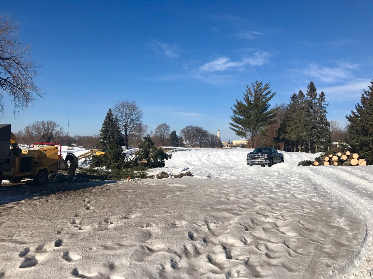 tcturf's tweet photo. A lot of evergreen removal around 8 tee and 7 green today. #longviews https://t.co/qENGpccKXv