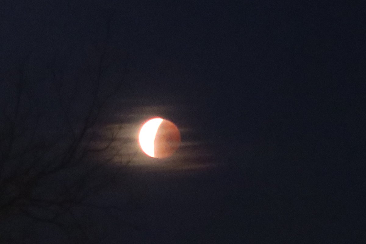 DoubleTree_SRC's tweet photo. Did you catch the Blue Blood Moon today? We had a great view from our hotel this morning! #DoubleTreeSuites #Hilton #Sacramento #RanchoCordova #BloodBlueMoon https://t.co/agQdVqqJho