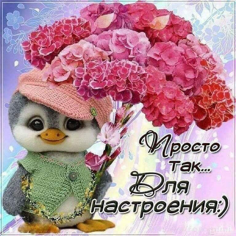 Картинки с цветами для настроения прикольные