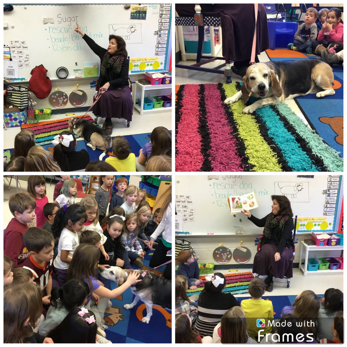 WNeiditch_K's tweet photo. Learning about rescue dogs with Mrs. Martinβs very own rescue dog Sugar! #kjourney #pawsforhope https://t.co/P3HPk9cMmq