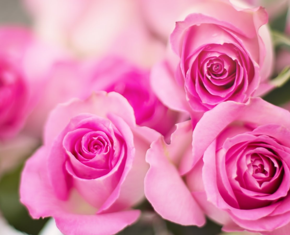 <a href="/VelvetSkye/">Velvet Skye™© 🇨🇦 ❤️</a> <a href="/63_cabaa/">ALDO CABAÑA</a> @LUV_MADGE <a href="/2tallRob/">2tall rob</a> <a href="/PolishRoyalGoat/">Ana and her Goat</a> <a href="/ferrarim551/">Cristina Gentile</a> <a href="/yaidunohannji/">Naoki Nishino</a> <a href="/VickieChandler/">-</a> <a href="/heroldbarton/">herold barton</a> <a href="/Light4ASD/">Trish Ieraci</a> @ladycherrycake <a href="/RodeRobijn/">Diane Breedveld</a> <a href="/JanetNestor/">Pathways 2 Wholeness</a> <a href="/mirtaimperatori/">Mirta Imperatori</a> <a href="/JohnPierceIX/">JohnPierceIX</a> <a href="/Mansingh105/">MSRaghuwanshi</a> <a href="/KSmith6548/">Kara S</a> <a href="/solo1642/">Solo</a> <a href="/Ciriademattos/">🔫BRASIL 🌹🍷Aliança pelo Brasil 🇧🇷3⃣8⃣</a> <a href="/JorgeOfitas/">Jorge Ofitas</a> <a href="/M4_VED/">Mahendra(Buddhay-sanatanayप्रचारक संस्कृतम्)</a> <a href="/windowgatribble/">Susan</a> <a href="/taraoatley10/">taraoatley</a> <a href="/crabbywabby/">Tweed</a> @PapaPorter1 <a href="/ELIANASUGAMORI/">Eliana🇧🇷</a> <a href="/elliesangelwing/">Doreen</a> <a href="/mary5705/">mary570</a> <a href="/datsyuklover/">Georgia Trosper</a> <a href="/bianco_bonnie/">Bonnie Bianco</a> <a href="/masaoota/">Stan Broadhurst</a> <a href="/jacquescoley/">DrJacquescoleyMusic</a> <a href="/1961Et/">Eloise Trosper</a> @Spinoculars <a href="/derek7568/">Derek/Ali/Bolt</a> <a href="/MarjoJolin/">Marjo Jolin 🇺🇦 🇨🇦</a> <a href="/isamuuran1316/">浩子</a> <a href="/TW2CayC/">Cay</a> <a href="/suiterec/">REC #REC Rachael Collins</a> @FJ_Bering <a href="/rach71069/">rachael collins</a> <a href="/ChadSchimke/">Author Chad Schimke</a> <a href="/SusanMcNicoll/">Susan McNicoll</a> <a href="/lepetitportcord/">le petit port cordon</a> @_Helio1 <a href="/wanderingstarz1/">Vincent Steele</a> <a href="/yakamilla8/">Камилла</a> 🌸
Hi
▬🌸
🔴<a href="/VelvetSkye/">Velvet Skye™© 🇨🇦 ❤️</a> 
🌸-🌸-🌸
🔴<a href="/63_cabaa/">ALDO CABAÑA</a> 
▬🌸
Buenas tardes 
▬🌸
🌸🔴🌸🔴🌸🔴🌸
▬enj⭕️y.....y⭕️ur....time
🌸🔴🌸🔴🌸🔴🌸
🔴🌸🔴
🌸🔴

➖<a href="/ThShaher/">🕛🕒🕕🕘 تغريدةعتيجة</a> 🌸