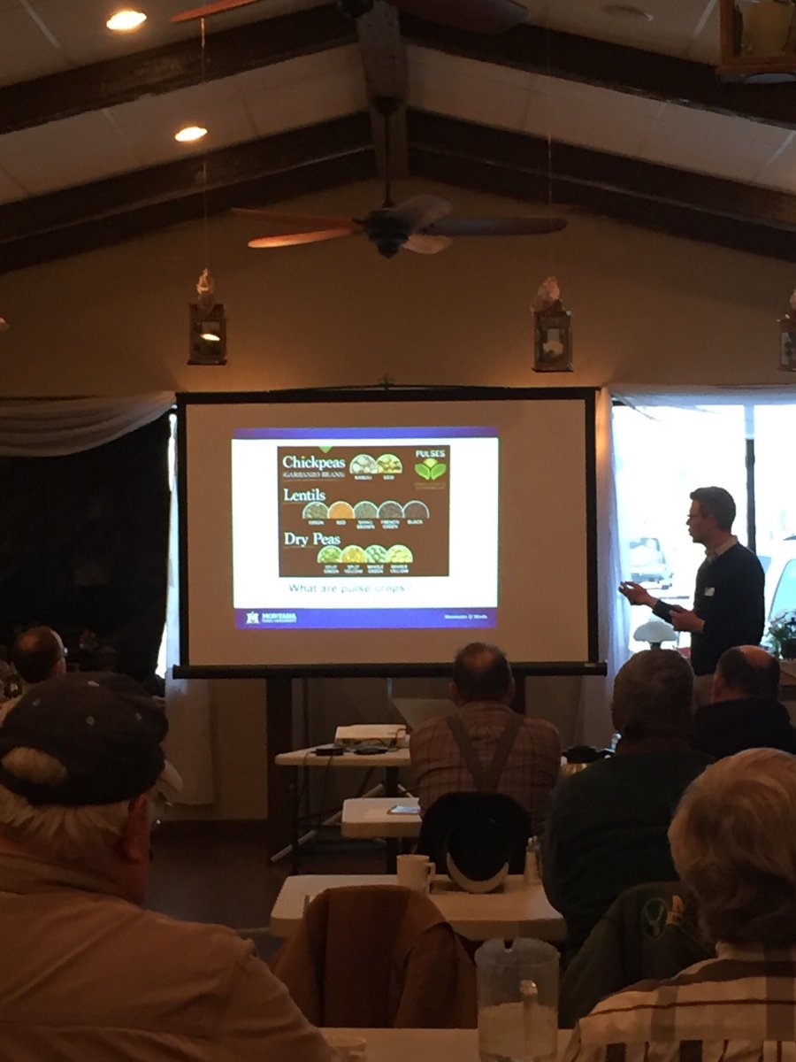 MtExtPSPP's tweet photo. Dr @JosephJanzen giving the market update on pulses—including what’s up with India. #peas #lentils #chickpeas #mtextpspp #montanastate #agriculture https://t.co/NcpkdY0rnN