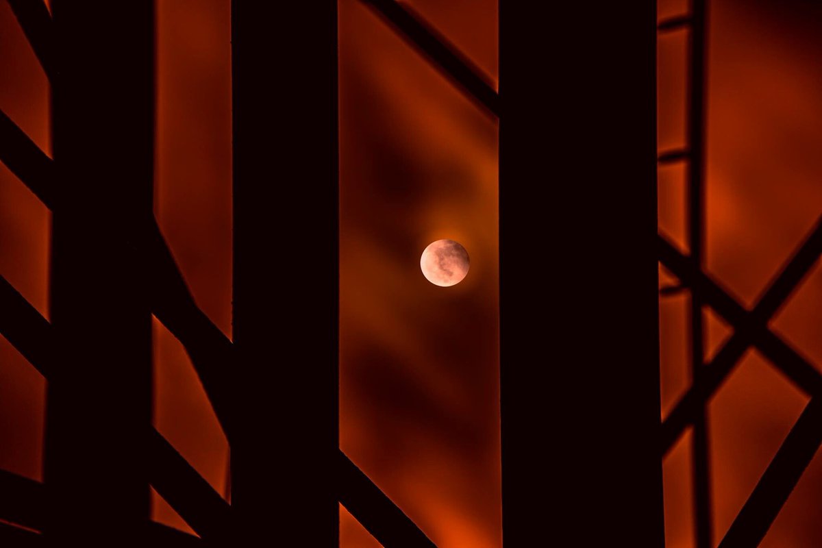 _Blake_Baker's tweet image. My #SuperBlueBloodMoon