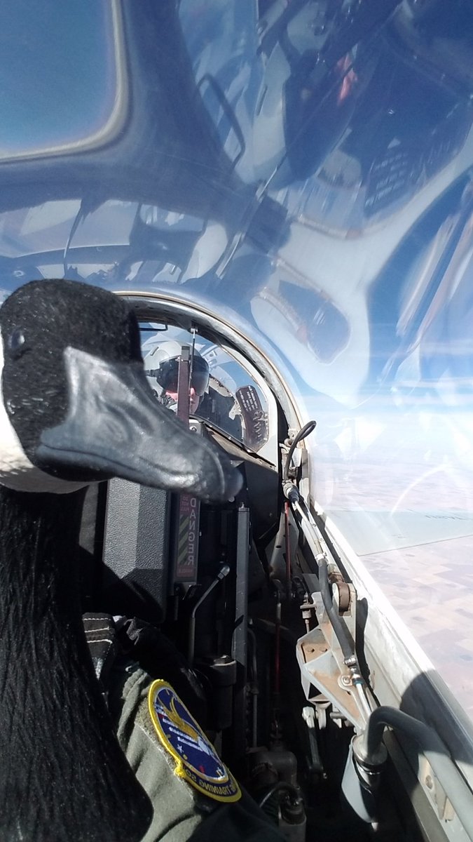 NugesGoose's tweet photo. #buds4lyfd #photoshop4lyfe #wheresnugesgoose https://t.co/tnEfVQJOt3