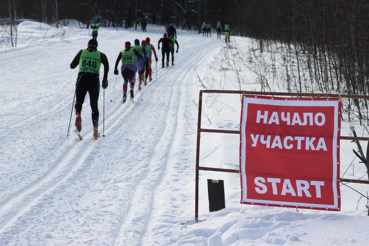 Альфа битца соревнования