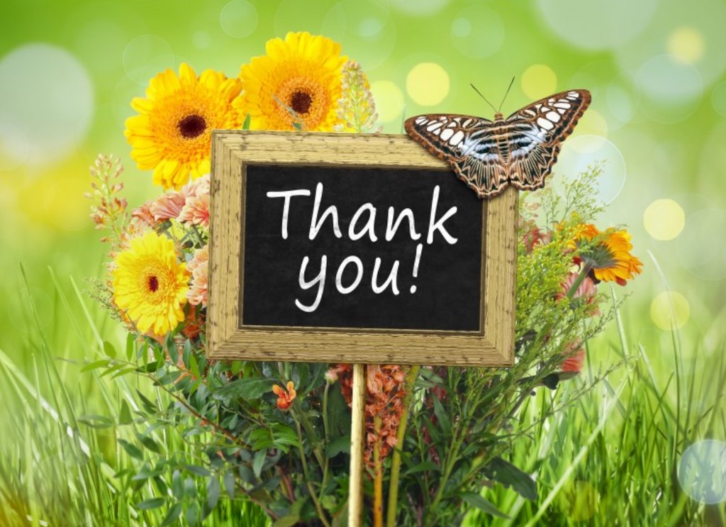 PacGardens's tweet photo. Thank you to everyone who came out to the Farmers Market today! We love our community and making fresh produce available at affordable prices is one of the ways we like to show it. #PacificGardenProgram #UoPacific #Stockton https://t.co/HKlX1hCBr9