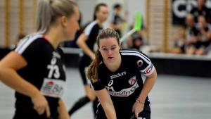 Linköping IBK Dam tweet media