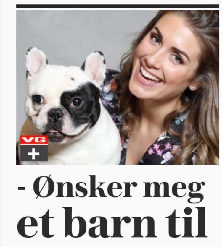 Roy Steffensen 🇺🇦 tweet media