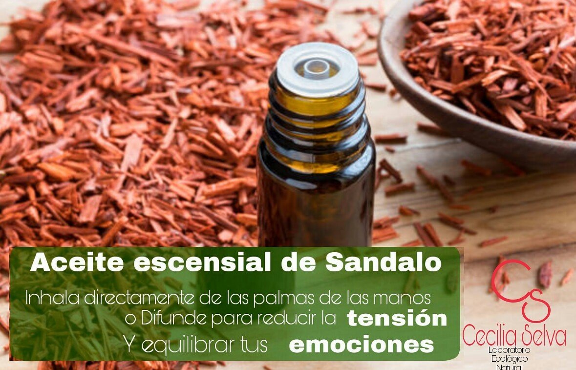 ceciliaselva1's tweet photo. #ceciliaselva #cosmetica #natutal #cosmeticanatural #plantas #selva #cecilia #belleza #laboratorio #ecologico #cremas #serum #aromaterapia #aceitesesenciales #aceitesnaturales #buenosaires #argentina #aceitedesandolo #sandolo #flores #aroma #jabon #perfume #eco https://t.co/Qwjalrci7S