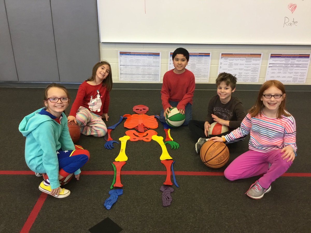 BB - Bones and Basketball in 3rd grade PE today! #activelearning @olathepeteachers @madisonplacek5