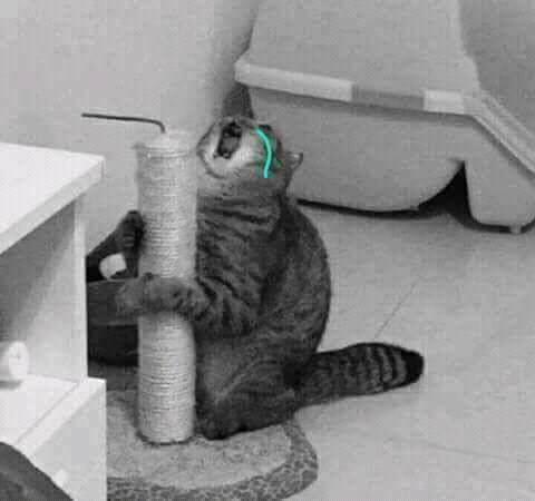 Tiago13YT's tweet photo. @MelanyAlts  https://t.co/YDcL2fvCzO