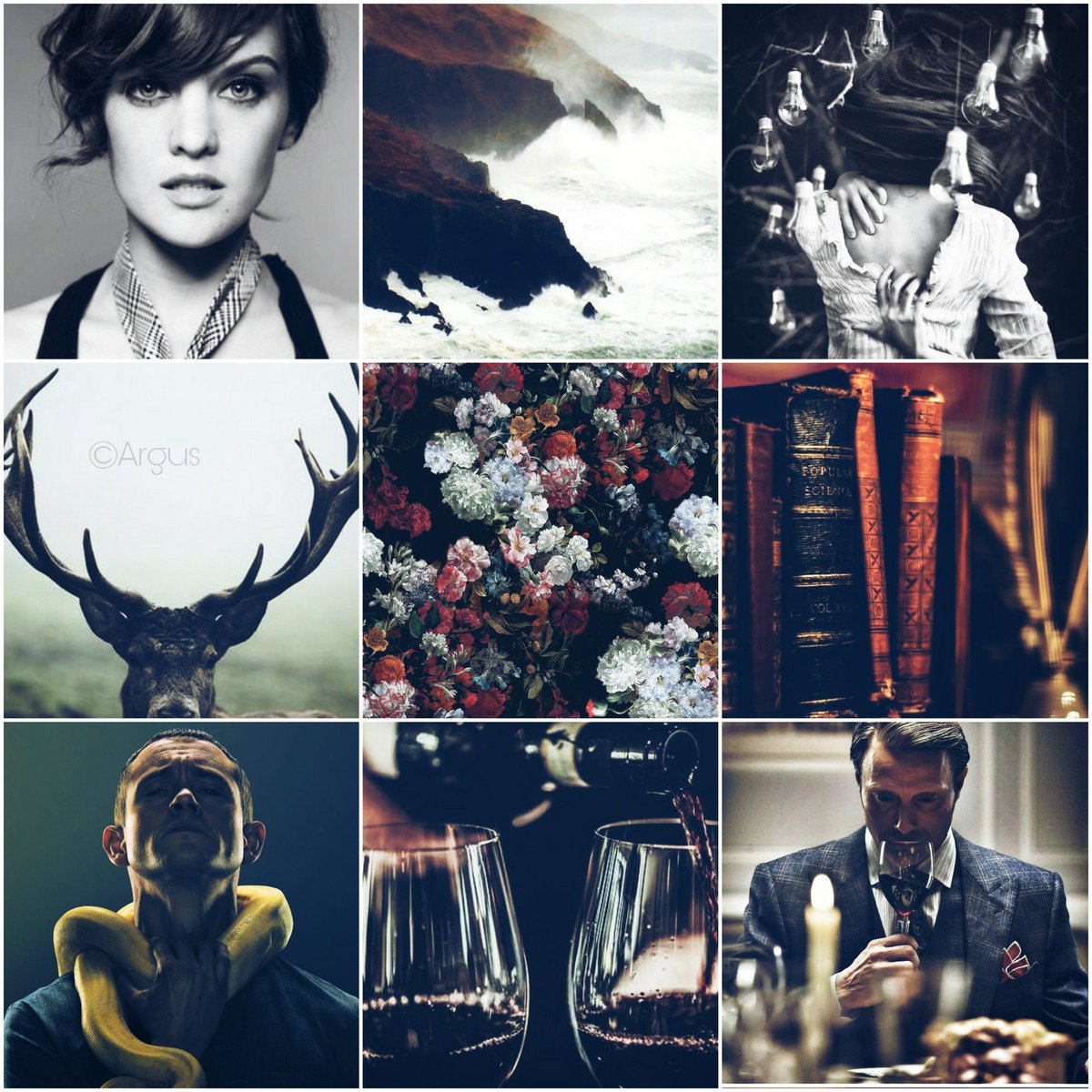 Argus©|Serena tweet media