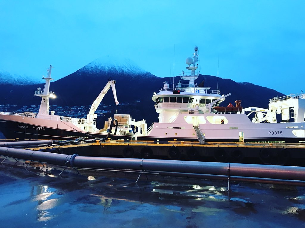 quantuspd379's tweet image. Atlantic skando herring done! Home time! #fishing #herring #måløy