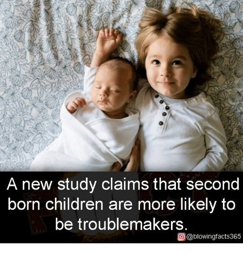 Liam Coen (@mistrie) on Twitter photo 